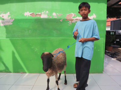Keceriaan Qurban bersama Yatim 10